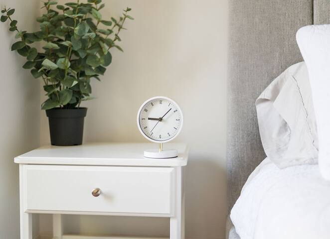 Bright Modernista – Downtown TO gallery image 5