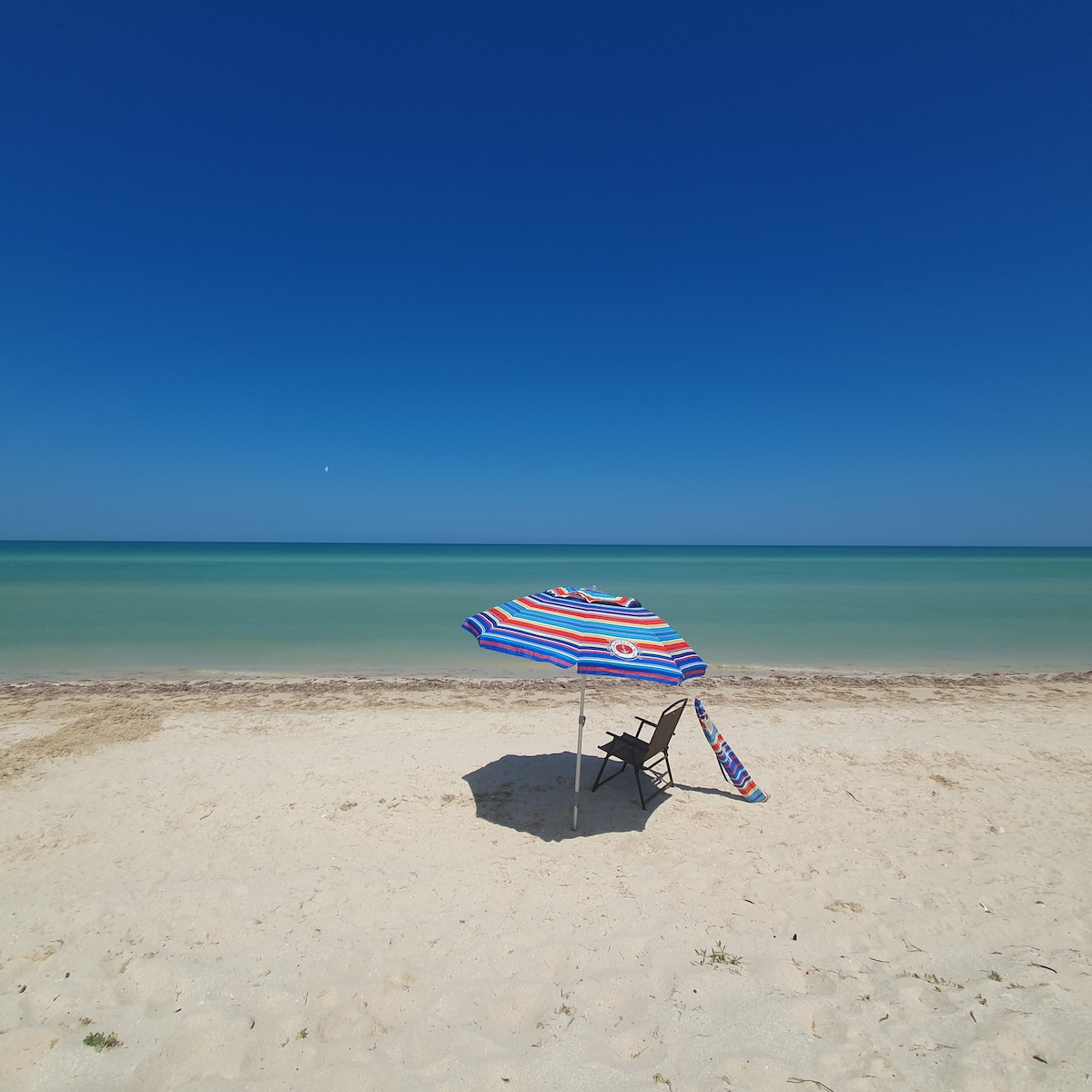 A vibrant beach scene is presented with a colorful striped umbrella providing shade over a black folding chair. The tranquil ocean is visible in the background, showcasing gentle waves against a sandy shore under a clear blue sky.