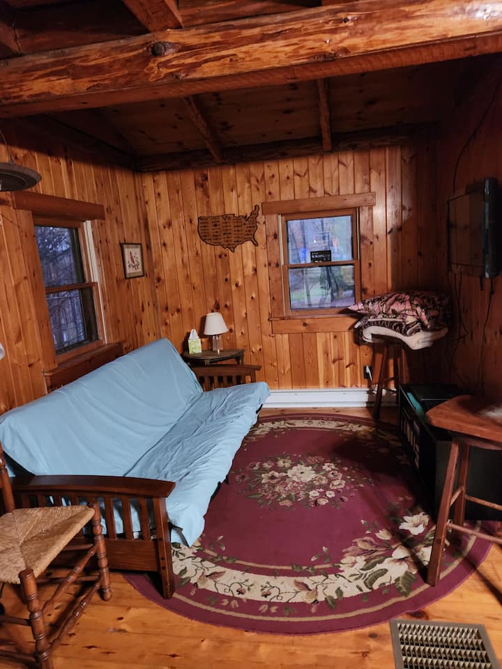 Harper Hill Cabin - Hobart, NY