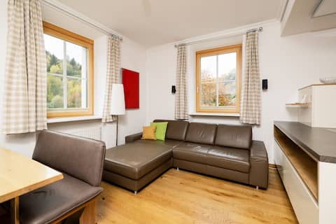 Top performing Airbnb: Carpe Diem Apartment in Stadl Predlitz