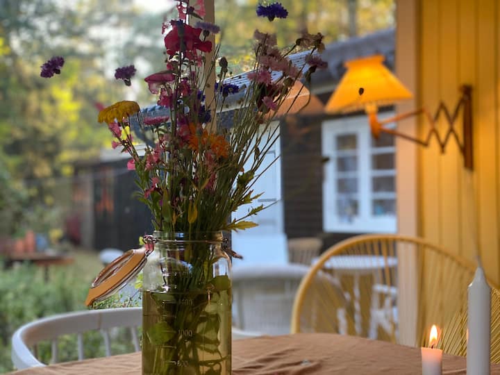 阳光房里的鲜花