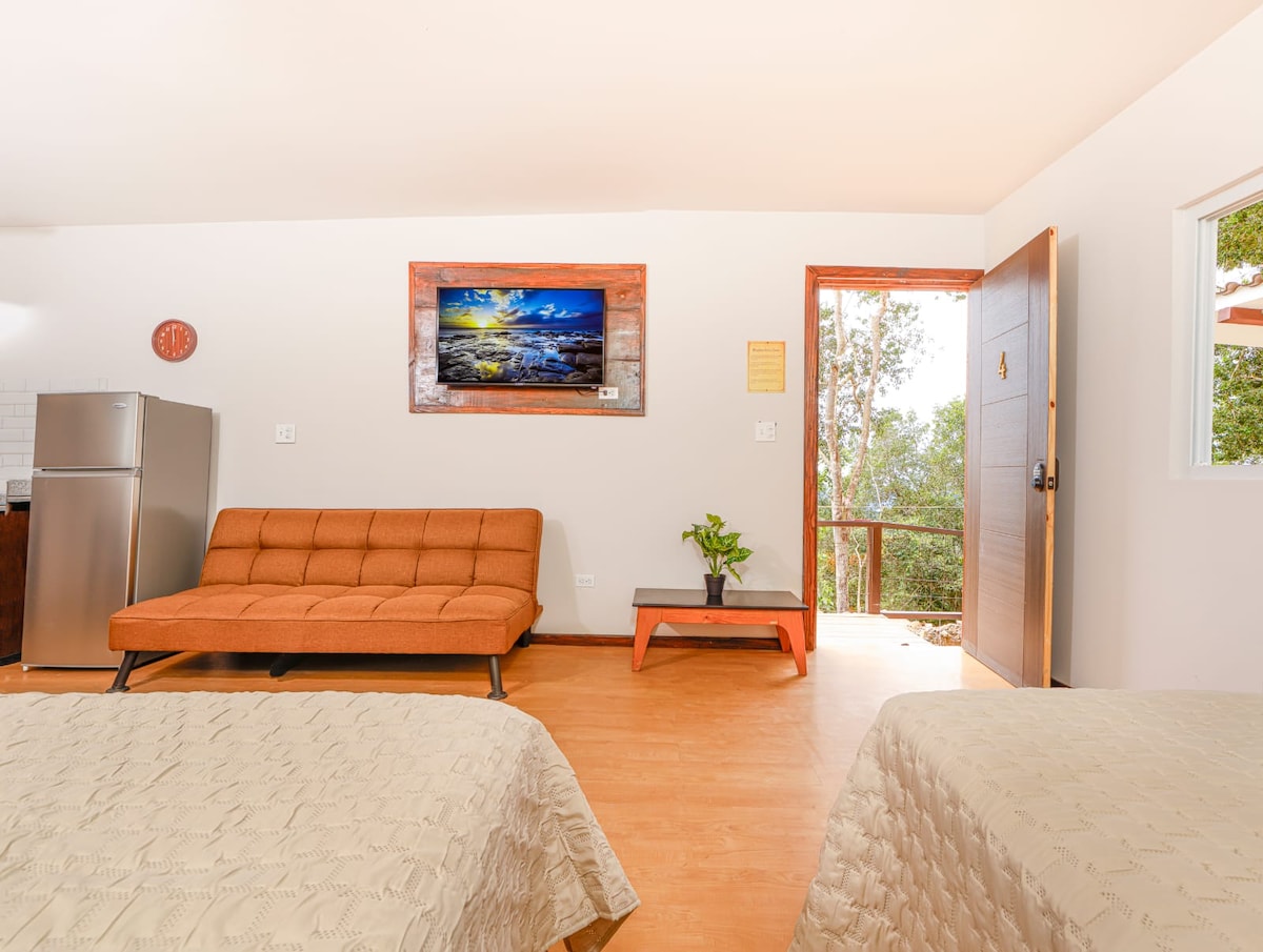 电视、冰箱、沙发床