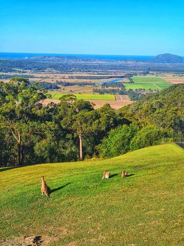 Mountain Home with Ocean Views gallery image 3