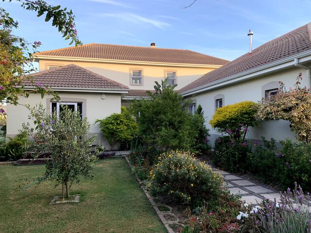 Beach Haven gallery image 4