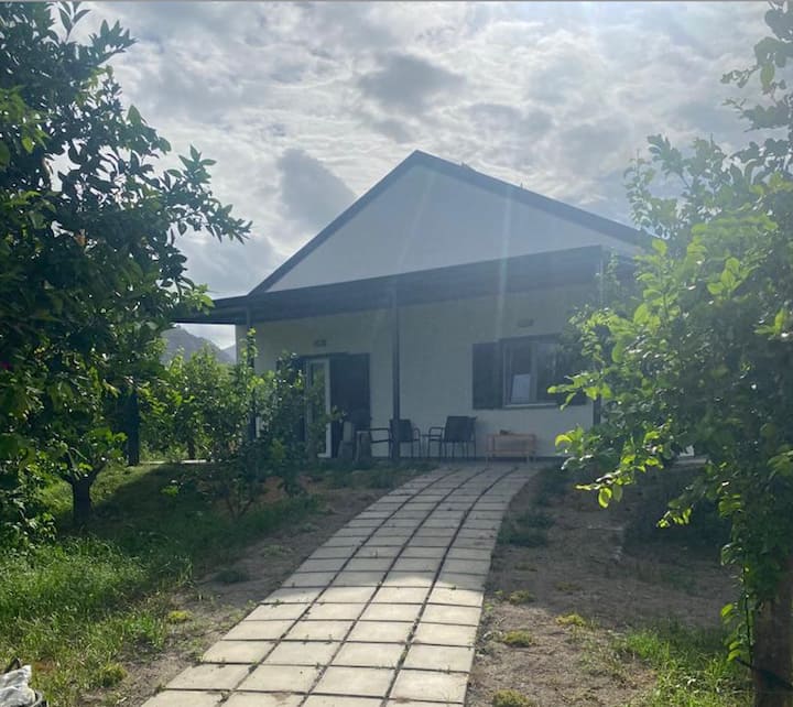 La Casa Nel Frutteto - Sant'Agata di Militello