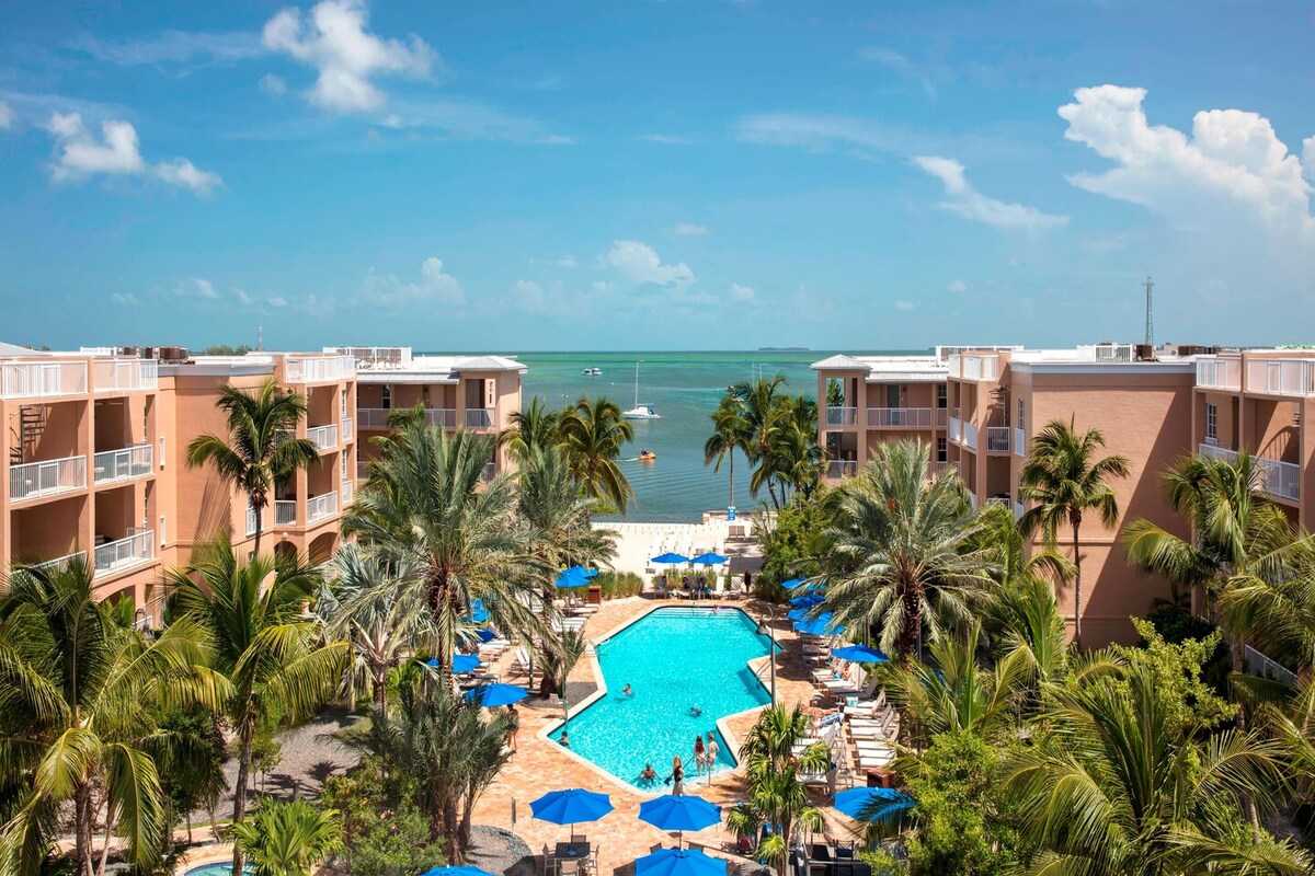 A large outdoor pool is situated among lush palm trees and vibrant blue umbrellas. The clear blue water reflects the sky, and in the background, the sandy beach and ocean can be seen. The resort buildings frame the pool area, enhancing the picturesque setting.