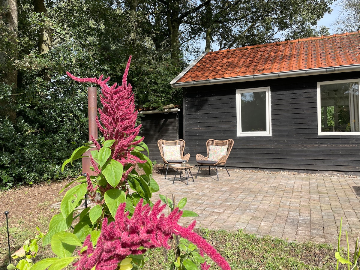 A charming holiday home is set against a backdrop of lush greenery. In the foreground, vibrant flowers add color, while two comfortable chairs are positioned on a stone patio, providing a peaceful spot to relax. Large windows reflect the natural surroundings.