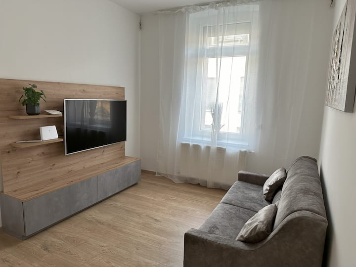 City Apartment V Linz - Traun