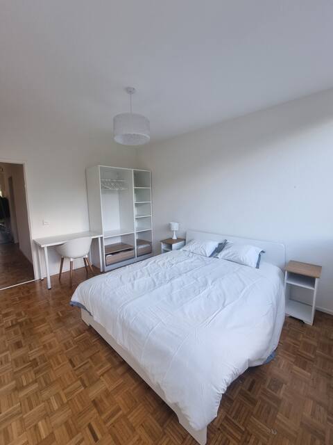 Spacious Apartment in Geneva