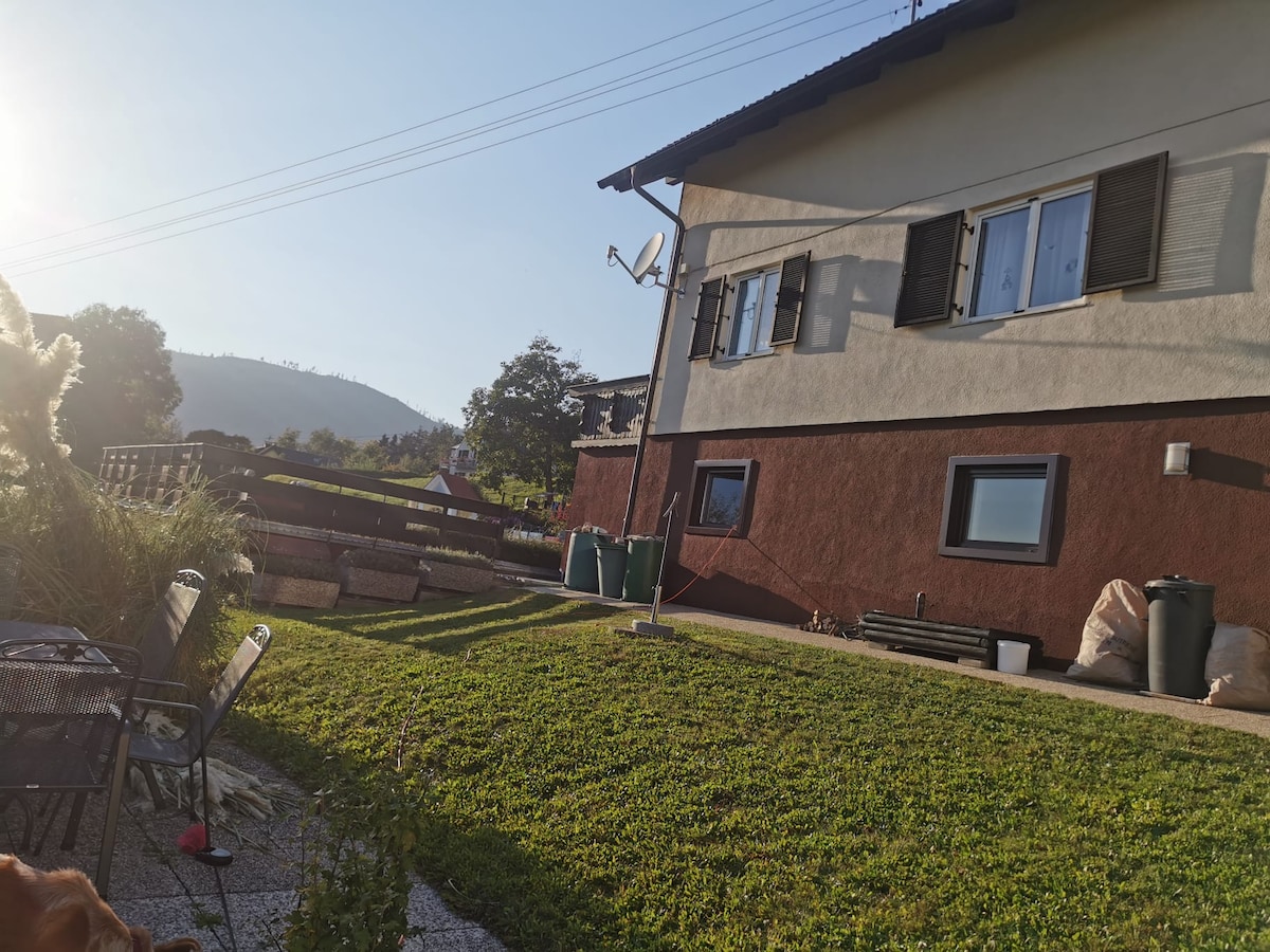 The exterior of the property is shown, featuring a two-story house with brown and beige walls. Several windows are visible, along with outdoor storage containers. A grassy area and patio furniture are present, with distant hills and trees framing the background.