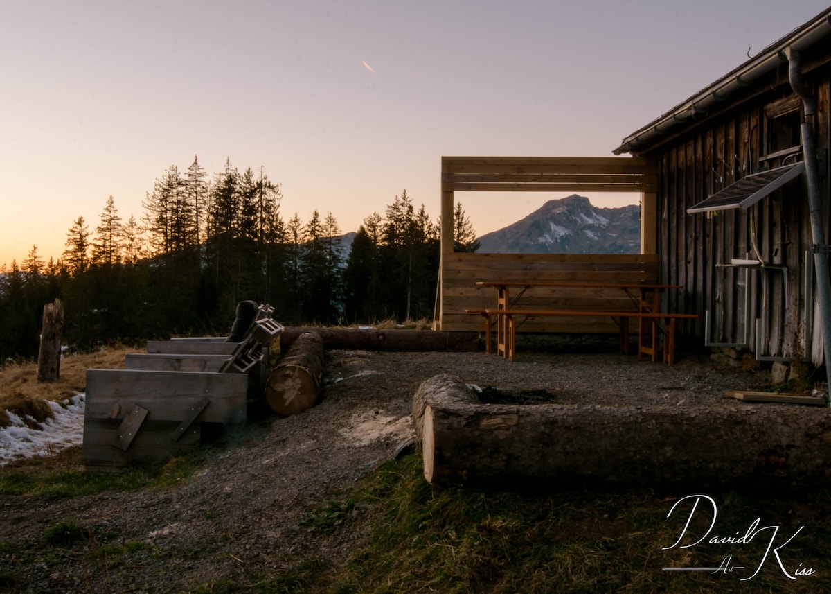 Top performing Airbnb: A cabin in the middle of the forest in Wildhaus Alt St. Johann