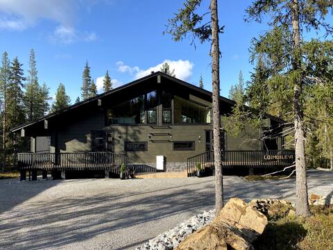 New villa near services, Loimuilevi B