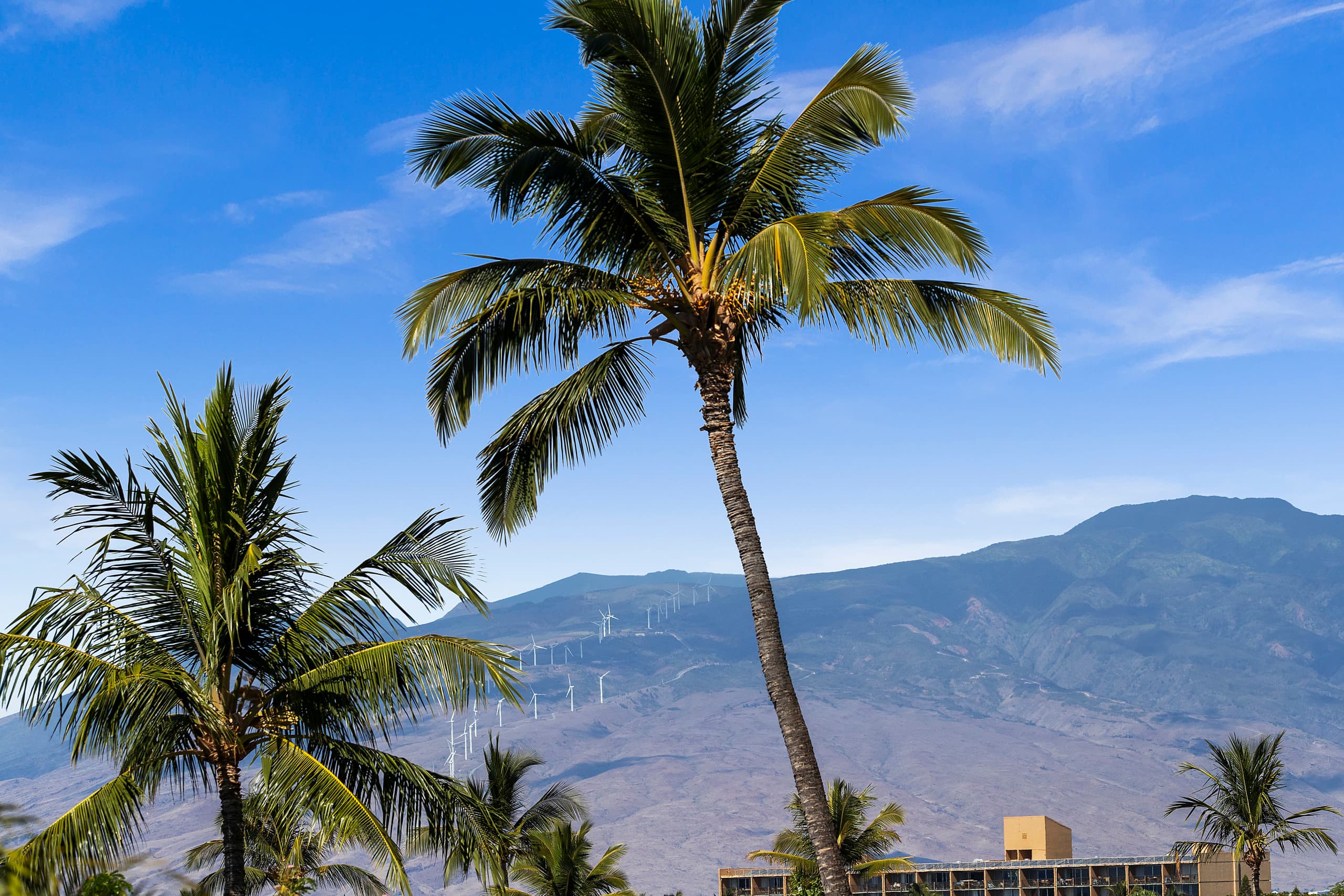 Condo in Wailea · ★4.94 · 2 bedrooms · 3 beds · 2 baths - Image 11