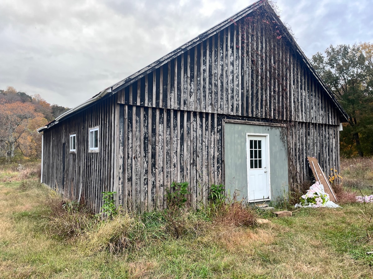 A rustic barn structure is presented with weathered, vertical wooden siding. A simple white door leads to the interior, framed by overgrown grass and scattered weeds. Two small windows allow natural light to penetrate, with a backdrop of trees in muted autumn colors.