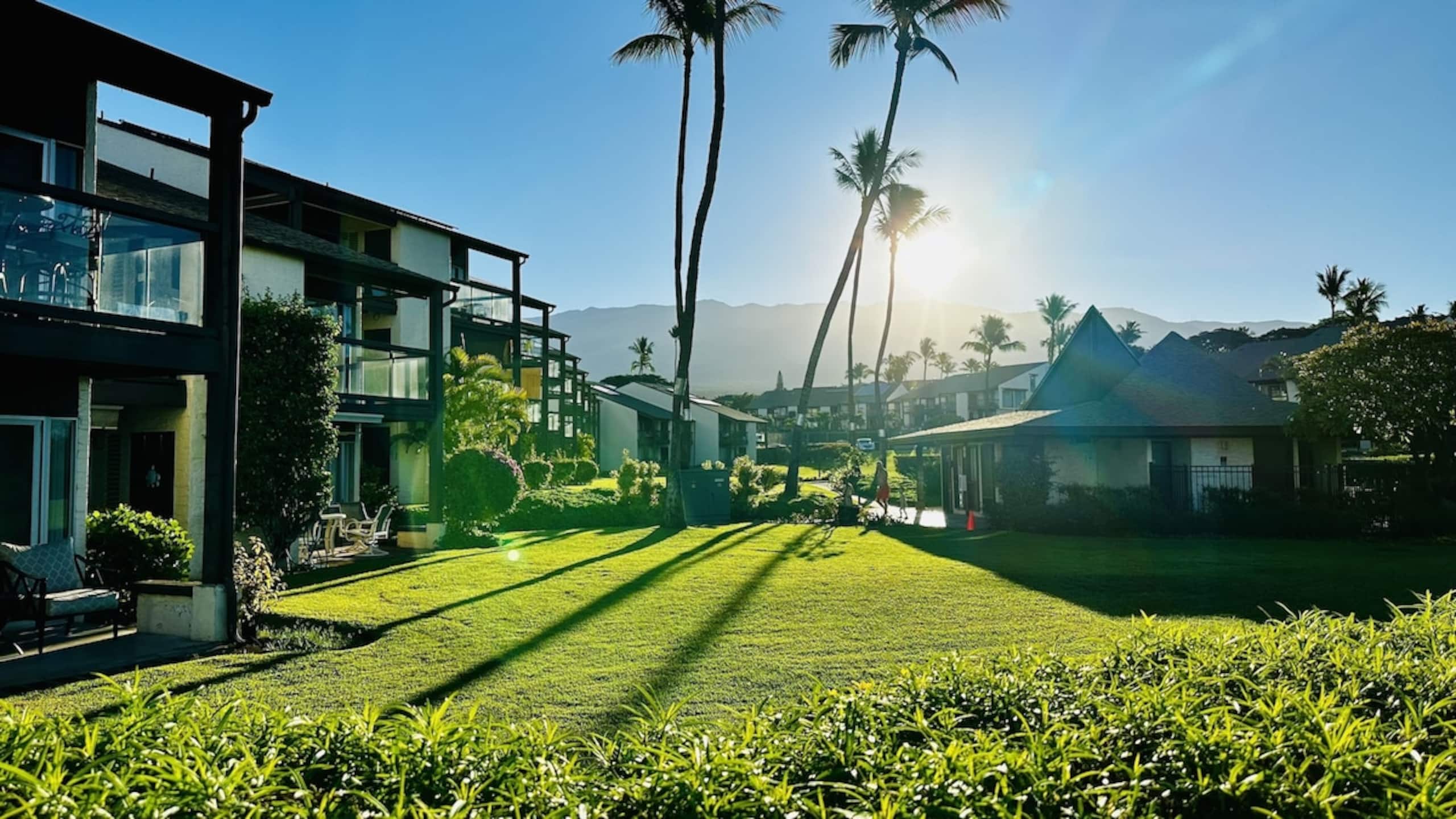 Condo in Kihei · ★5.0 · 1 bedroom · 3 beds · 1 shared bath - Image 15