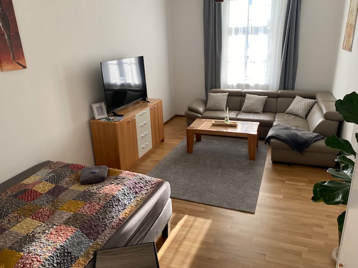 Renovated Apartement In An Old Building In Graz - Graz