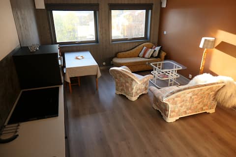 Successful Airbnb property: Short distance to everything in Stokmarknes in Hadsel