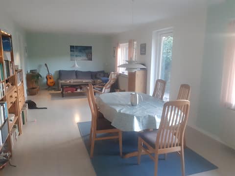 Room with forest view