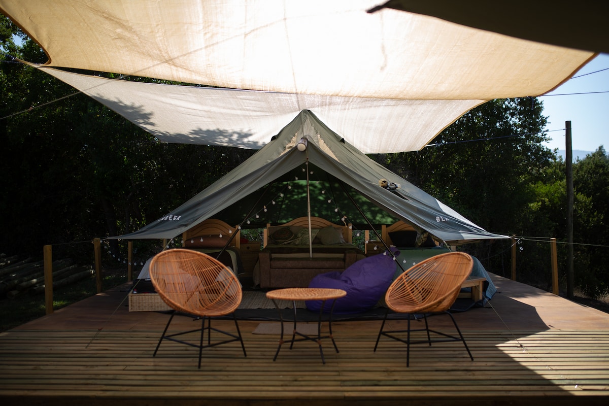 A tent is prominently set on a wooden deck, marked by a spacious canopy. Two woven chairs create a cozy seating area, while comfortable bedding can be seen inside the tent. Natural greenery surrounds the space, providing a serene atmosphere.