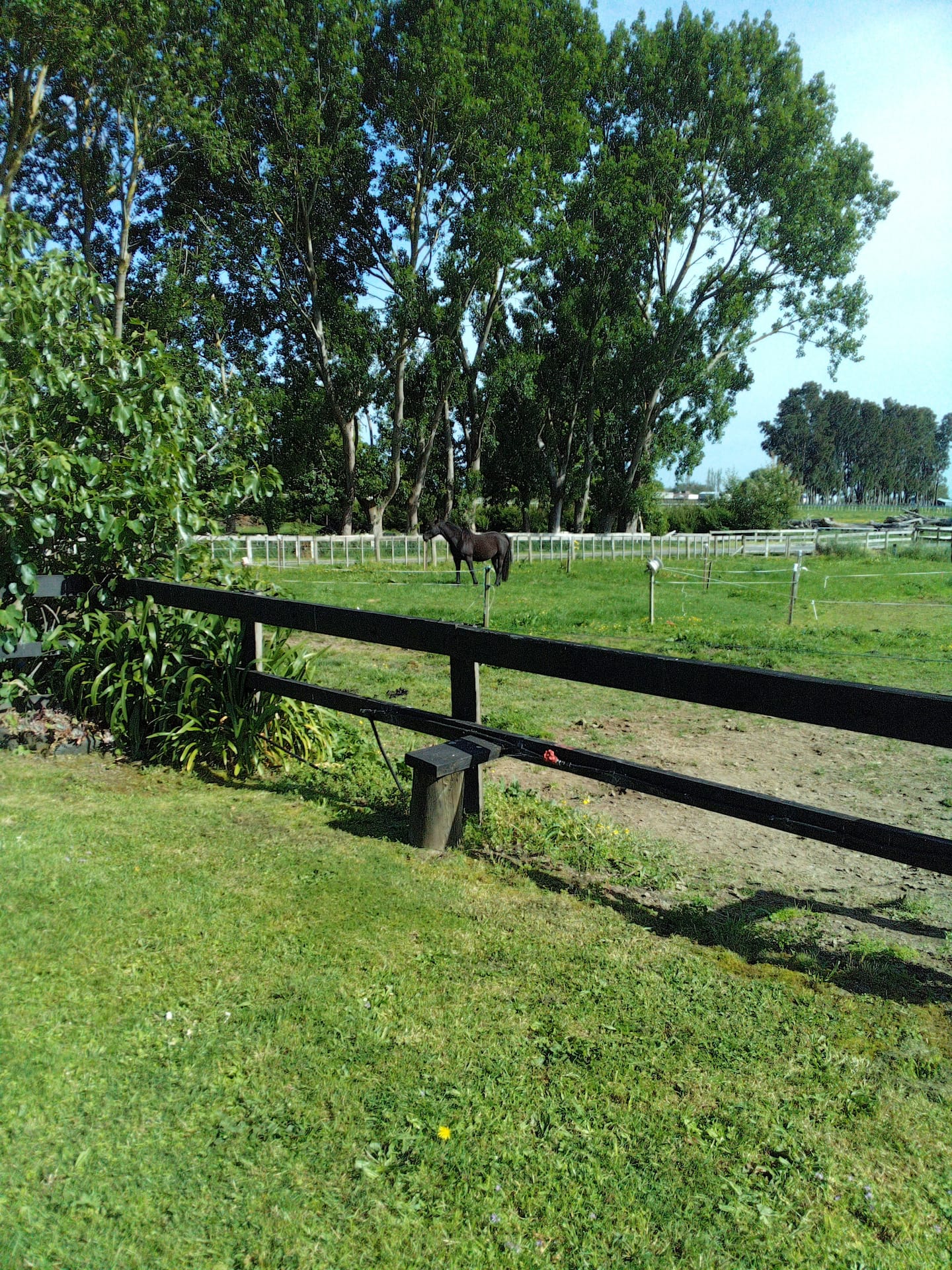 Beauview Cottage /Read Directions In Arrival Guide 4