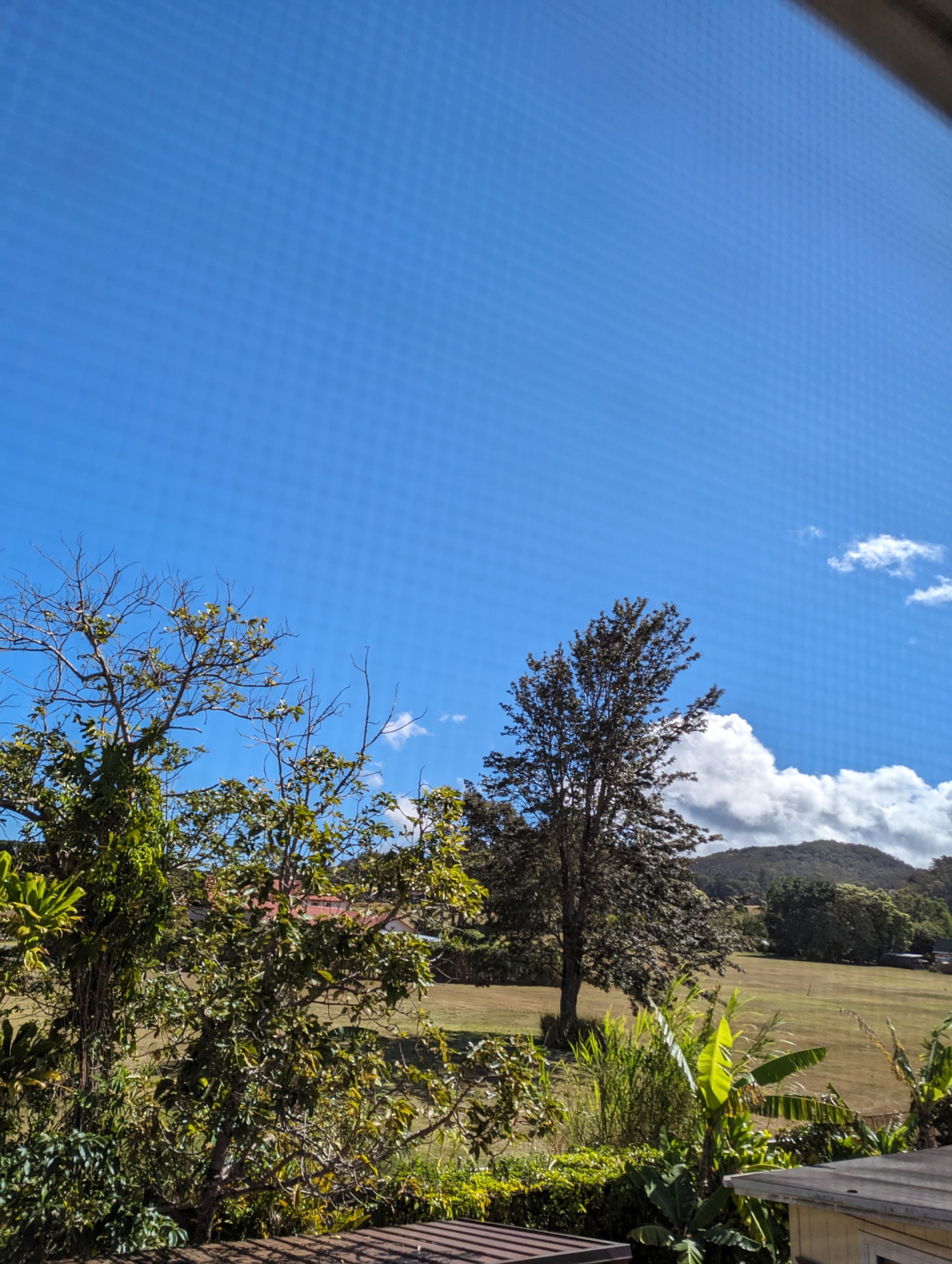 Home in Haiku-Pauwela · ★4.88 · 1 bedroom · 1 bed · 1 private bath - Image 8