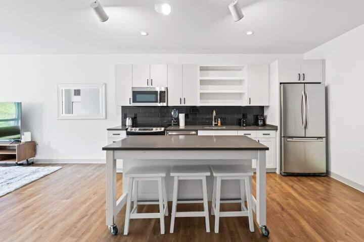 Luxury 2 Br 2 Ba apt Boston Jamica pond gallery image 2