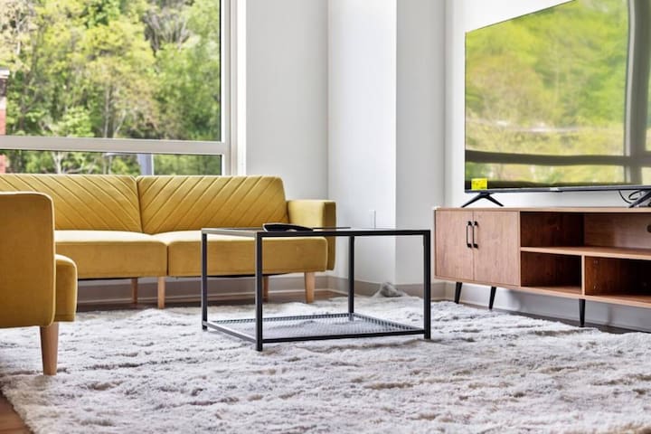 Luxury 2 Br 2 Ba apt Boston Jamica pond