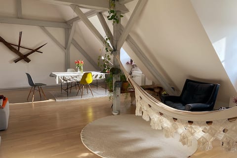 Top Airbnb: Above the rooftops of Heidelberg in Heidelberg