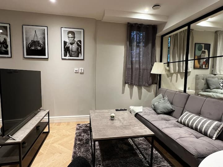 Svea Deluxe Apartment Apartments for Rent in Östermalm, Stockholms