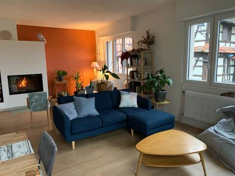 Close to Strasbourg, vineyard, amusement park