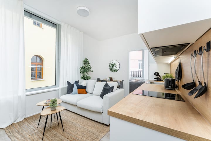 Parking*modern One-bedroom Apt*netflix 213 - Prag