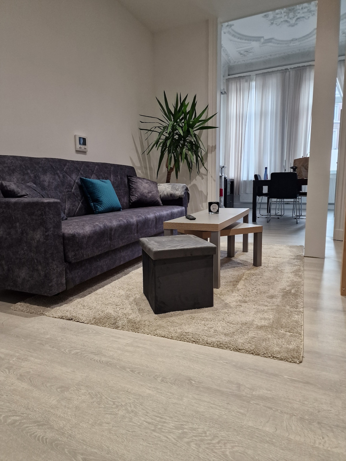 A cozy living area features a plush sofa with a decorative pillow. A stylish coffee table and a small storage box are positioned on a soft rug. Large windows provide natural light, complemented by sheer curtains, and a potted plant adds a touch of greenery.
