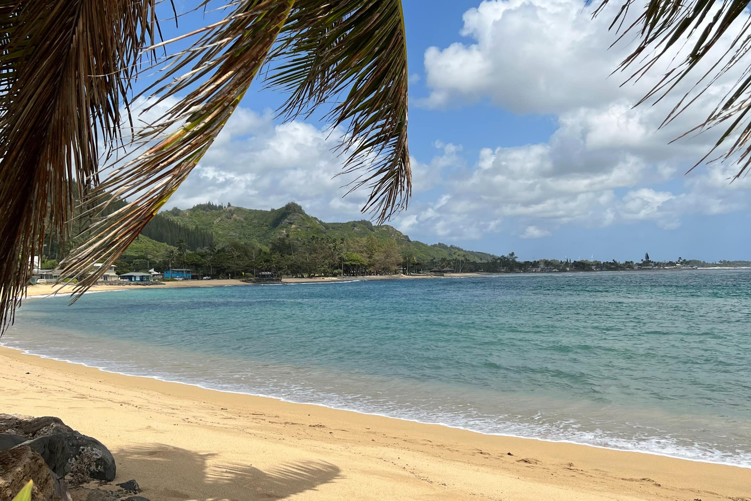 Guesthouse in Hauula · ★4.93 · 1 bedroom · 2 beds · 1 private bath - Image 13