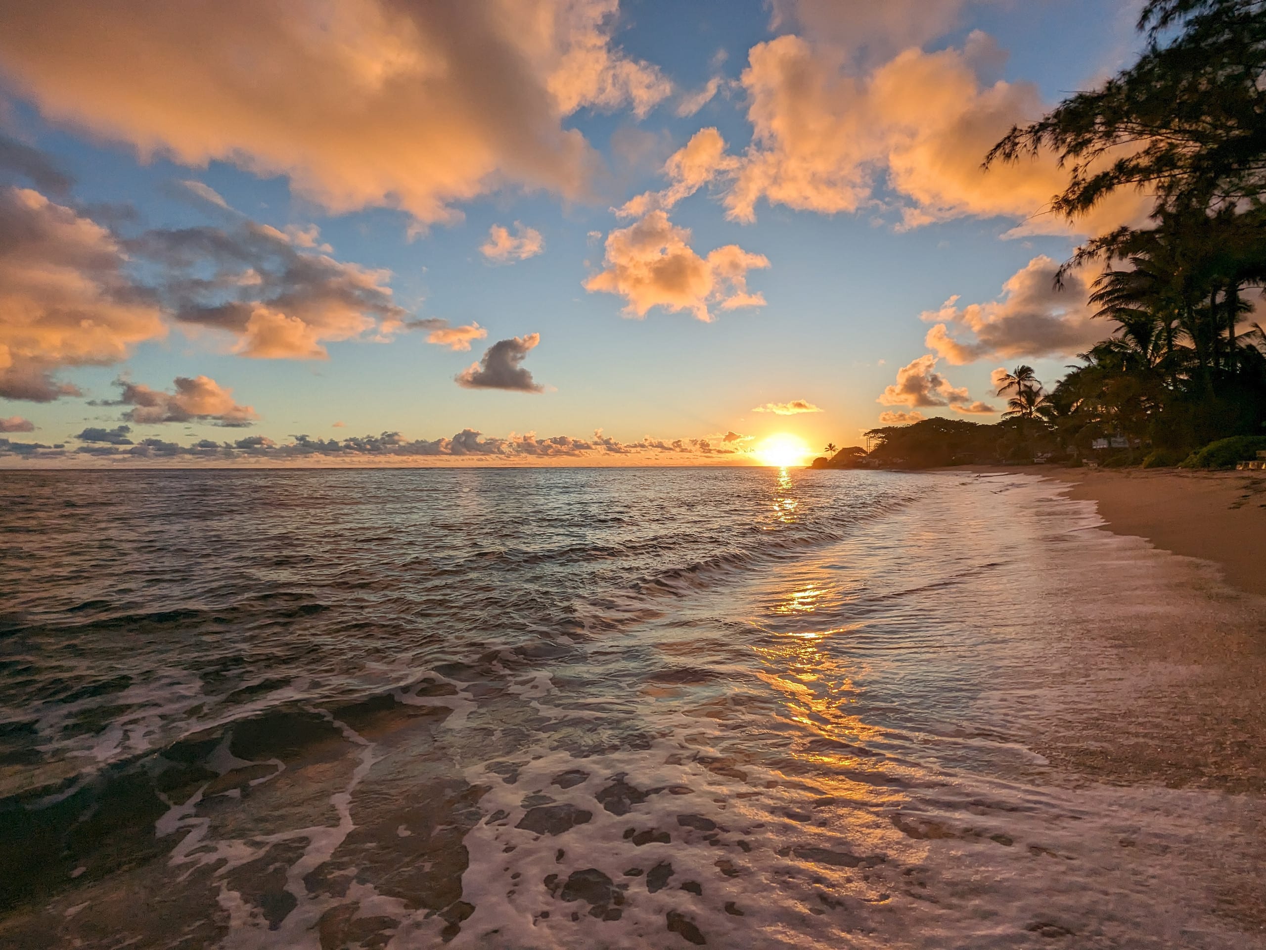 Guesthouse in Hauula · ★4.93 · 1 bedroom · 2 beds · 1 private bath - Image 14