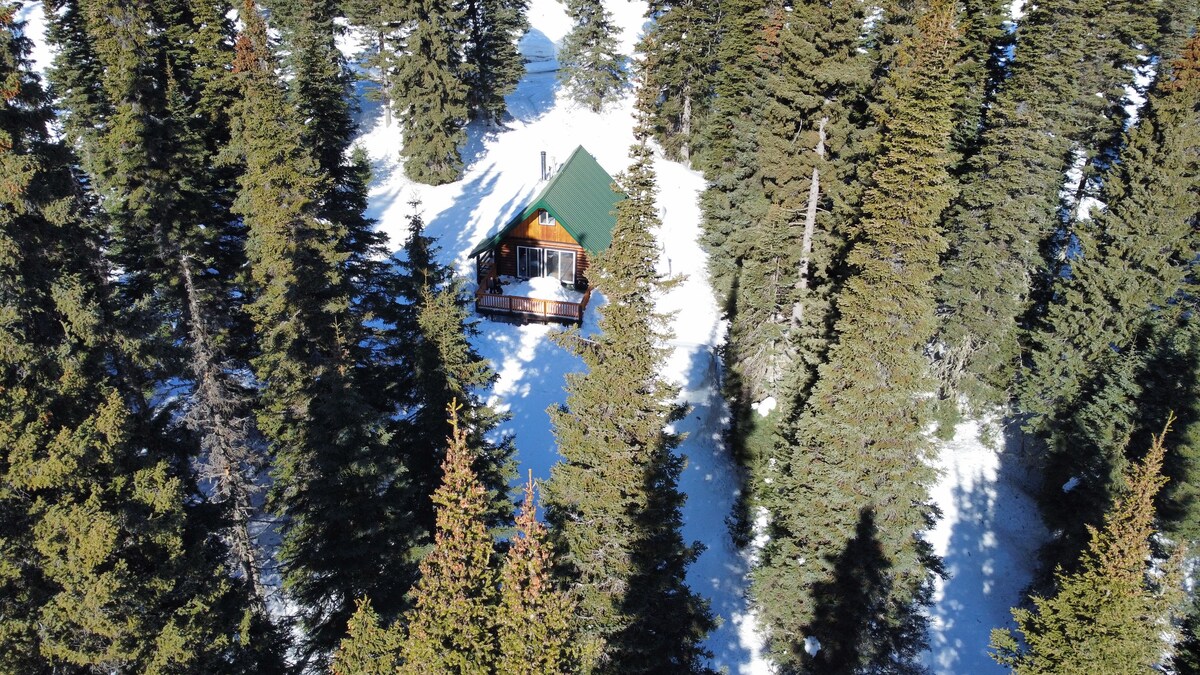 An aerial view captures a charming wood cabin surrounded by a blanket of snow, nestled among tall evergreen trees. The green roof contrasts with the white landscape, while the spacious deck is visible, suggesting a serene and secluded retreat in nature.
