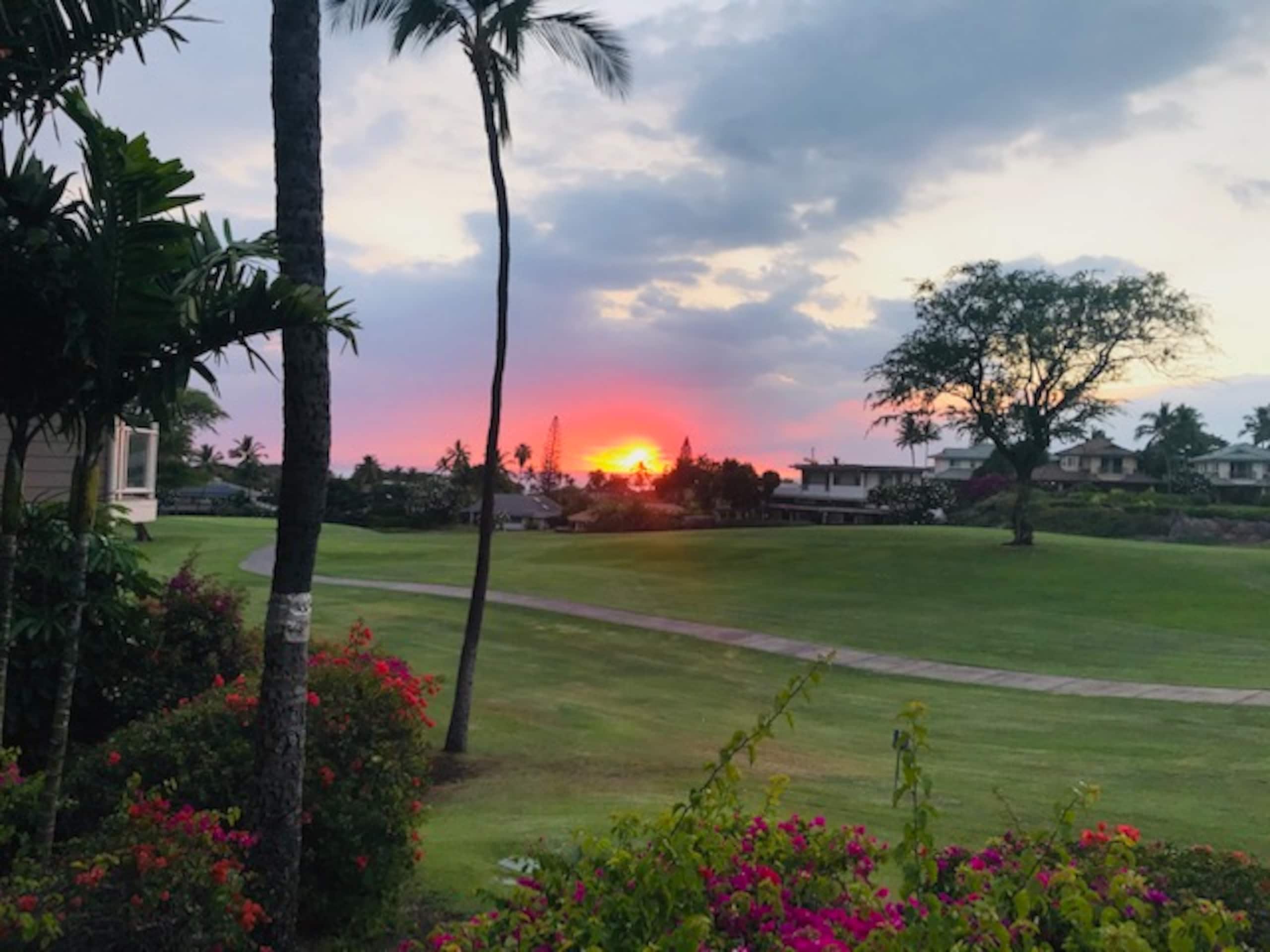 Condo in Wailea · ★4.98 · 3 bedrooms · 4 beds · 2 baths - Image 19