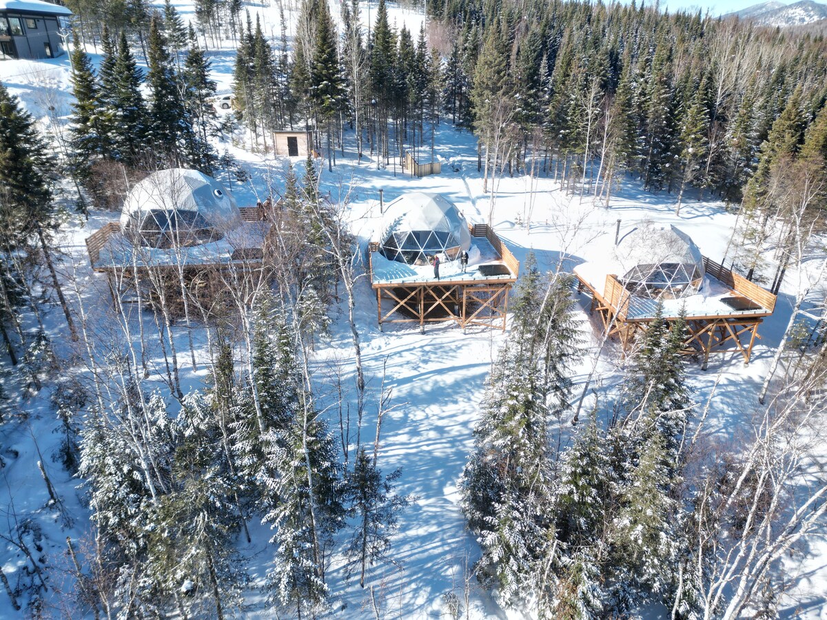 Three domes are positioned among the snow-covered trees, each featuring a wooden terrace. The surrounding landscape includes evergreen trees dusted with snow, creating a tranquil winter scene. Clear skies and distant mountains are visible in the background, enhancing the natural beauty of the location.
