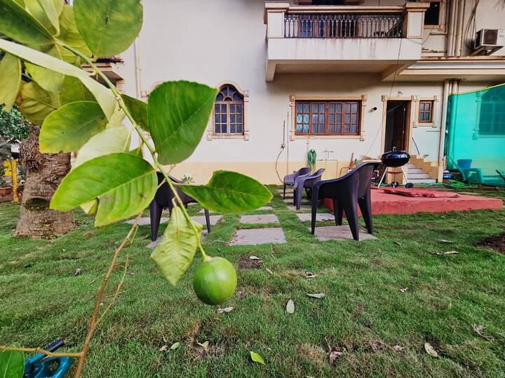 Back garden image 1