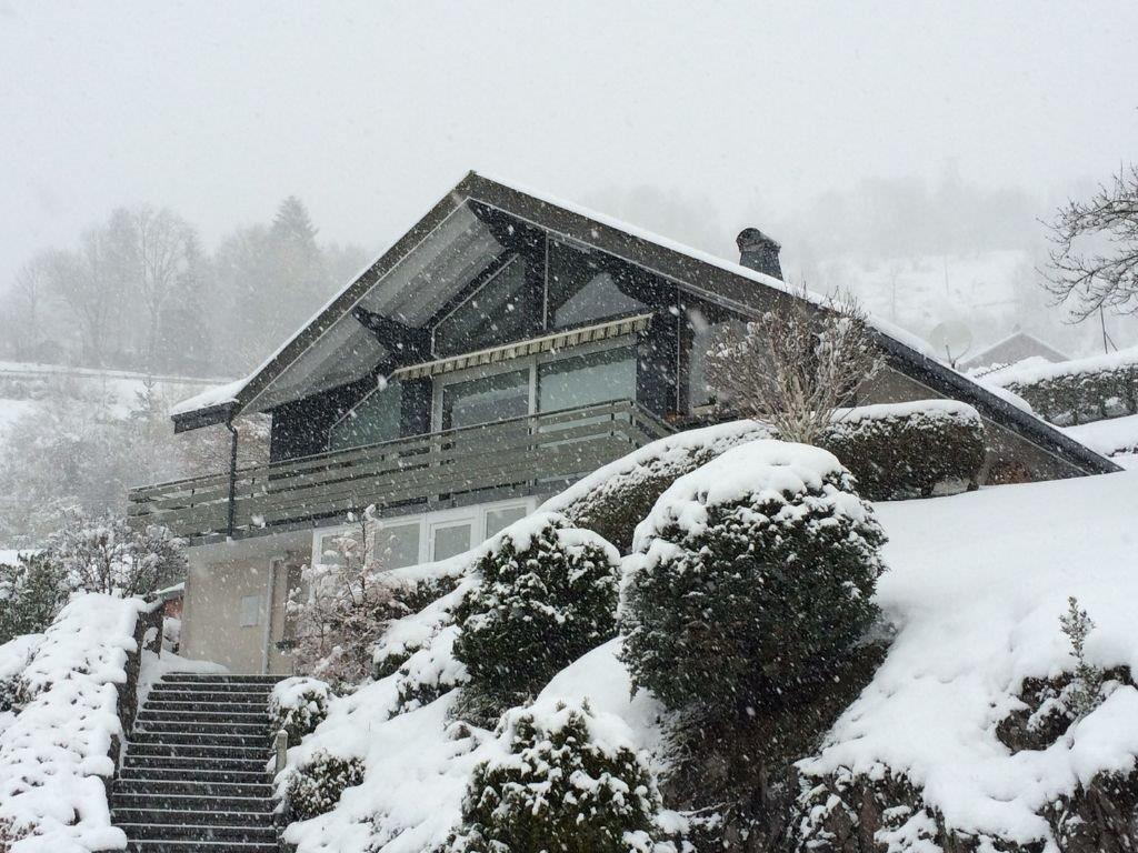 The chalet is framed by a blanket of snow, with a sloped roof and large windows. Snow-covered shrubs and a stone staircase lead to the main entrance, while gentle snowfall creates a serene winter atmosphere.