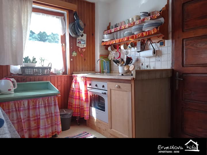 Apartment Ernestova Hiša - Mini - Delnice