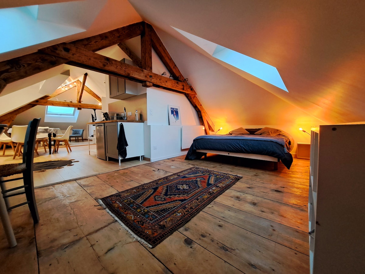 A spacious, loft-style room features exposed wooden beams and skylights, allowing natural light to fill the space. A cozy bed is positioned near a functional kitchenette, accentuated by wooden flooring and a decorative area rug. Warm lighting creates a relaxed ambiance.