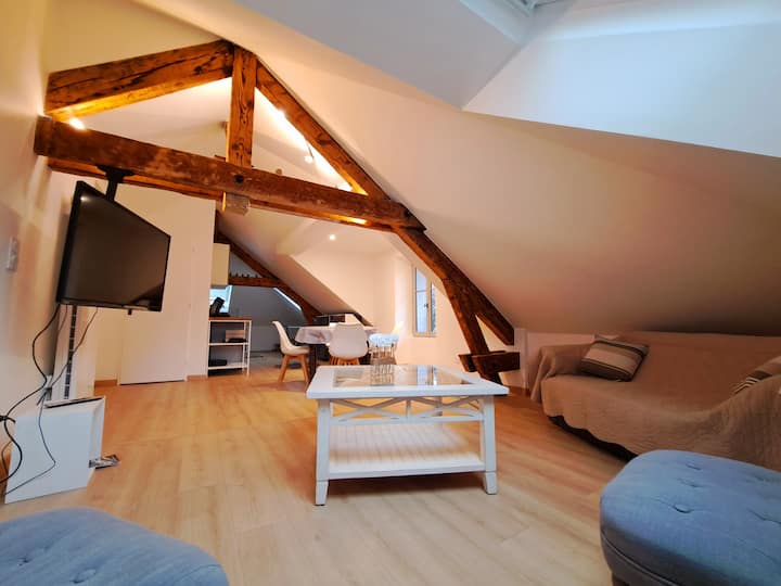 Appart Cosy - Parking Gratuit - Centre-ville - Chambéry