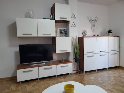 Top performing Airbnb: Breeze Apartment in Чукарица