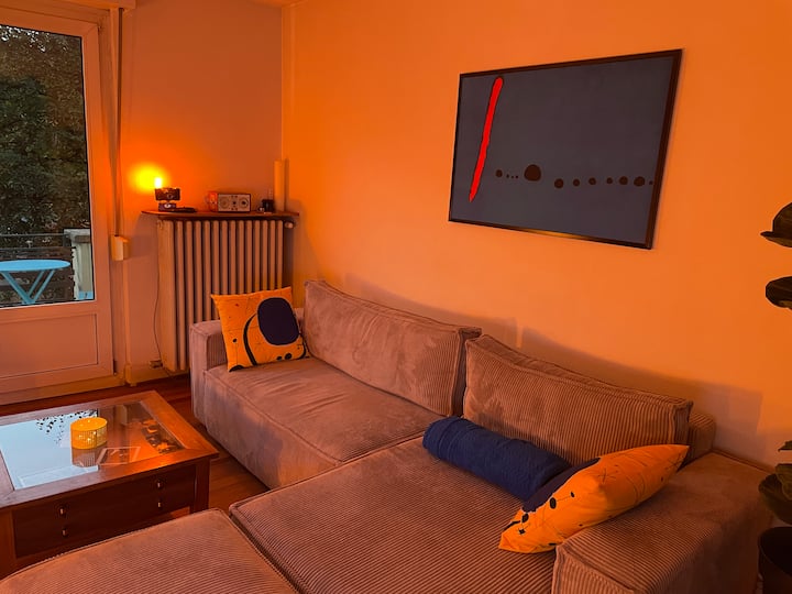 Joli Appartement Avec Terrasse. - ストラスブール