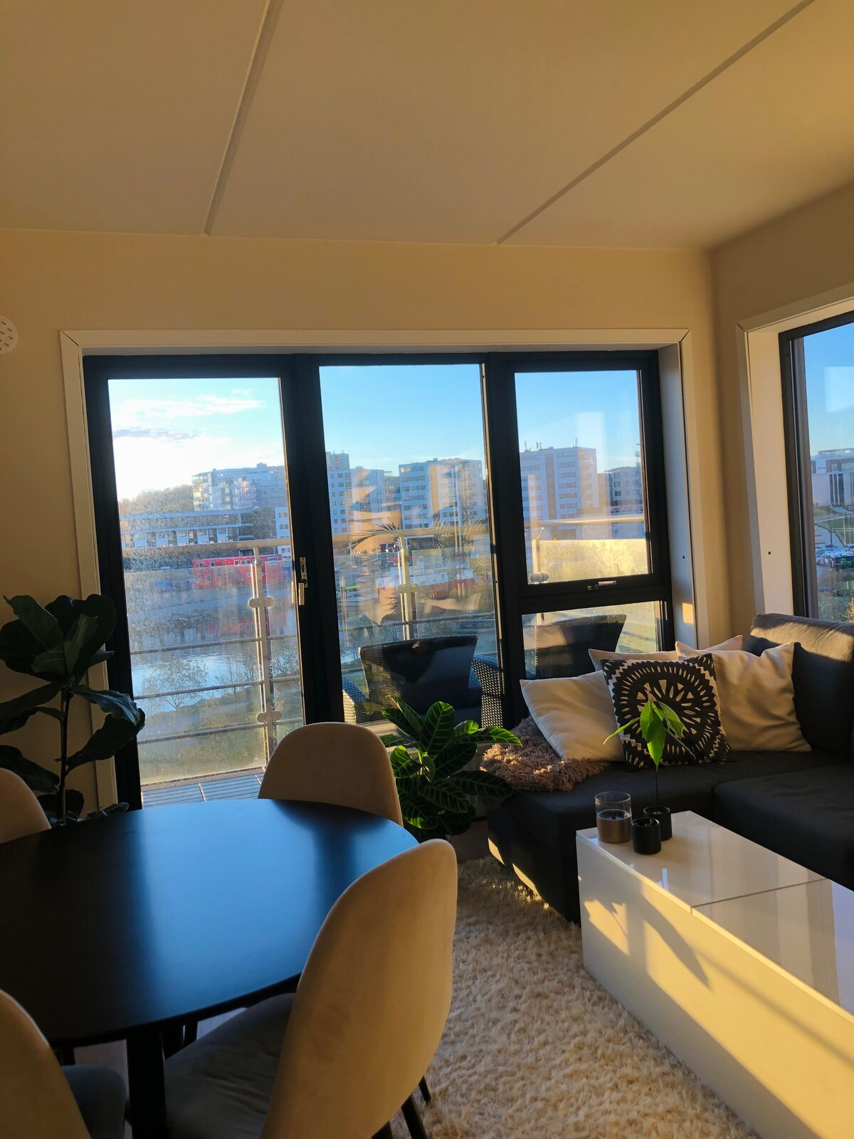 A modern living space features large glass doors providing views of the waterfront and surrounding buildings. Natural light fills the area, illuminating the dark furniture and decorative plants. A circular dining table and comfortable seating are arranged nearby, inviting relaxation and socializing.
