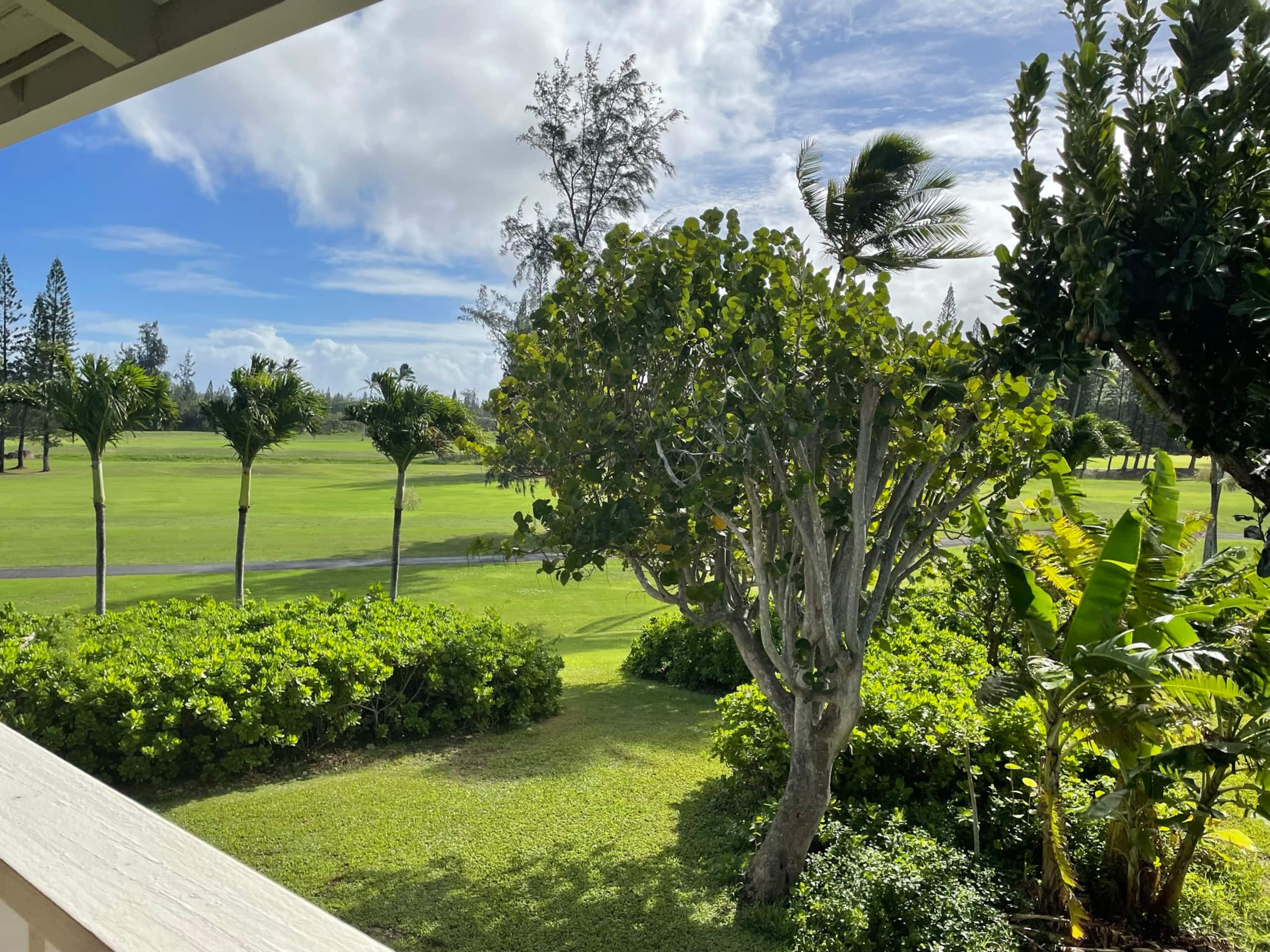 Hidden gem at North Shore Turtle Bay - Image 30
