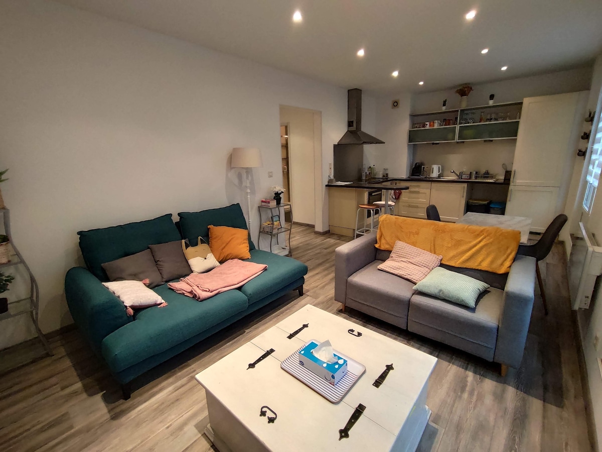 A spacious living area is furnished with two comfortable couches, one in teal and the other in gray, adorned with various throw pillows. A light-colored coffee table sits at the center, and an open kitchen is visibly equipped with modern appliances and shelving in the background.