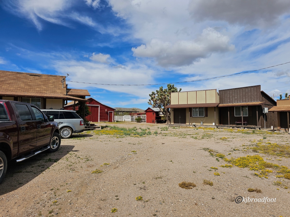 An Old Western-style guest house is visible alongside additional rustic buildings. A gravel parking area accommodates several vehicles, while patches of yellow wildflowers dot the ground. The backdrop features a blue sky with scattered clouds, enhancing the spacious desert surroundings.
