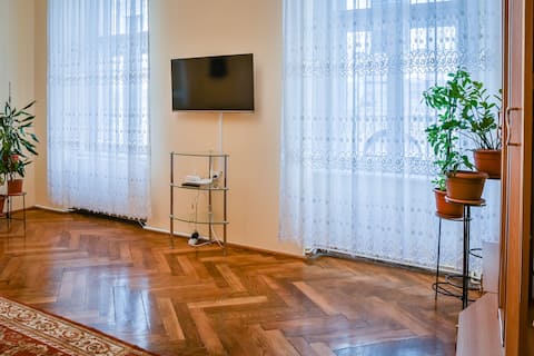 Successful Airbnb property: casa max in Timișoara