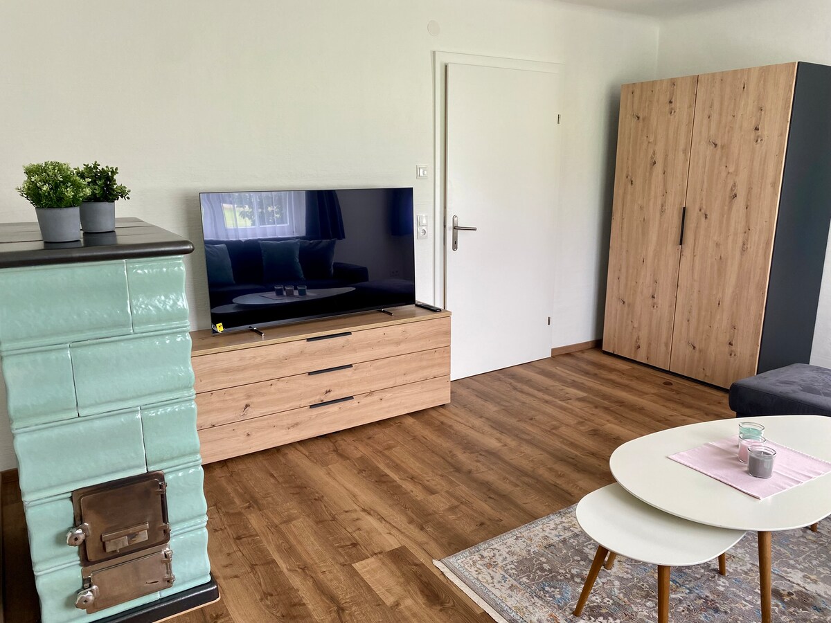 Дневна соба со голем OLED паметен телевизор 